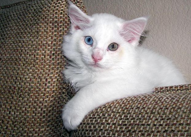 What Beautiful Eyes You Have: Submitted by Emma L. "Here ... What Beautiful Eyes You Have: Submitted by Emma L. "Here ...